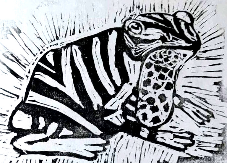 A zebra-patterned toad